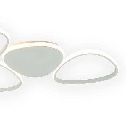 ONLI - Iluminação de teto LED ROMEO LED/48W/230V 4000K branco