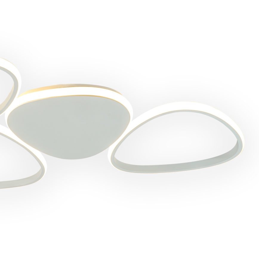 ONLI - Iluminação de teto LED ROMEO LED/48W/230V 4000K branco