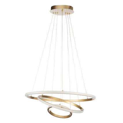 ONLI - Lustre LED suspenso por cabo NOELIA LED/40W/230V dourado