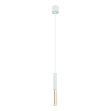 Open Design OR80841 - Lustre suspenso por cabo SLIMI 1xG9/3,5W/230V branco/dourado