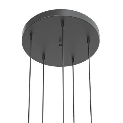 Open Design OR85518 - Lustre LED suspenso por cabo BOLICINA 5xLED/5W/230V dourado/preto