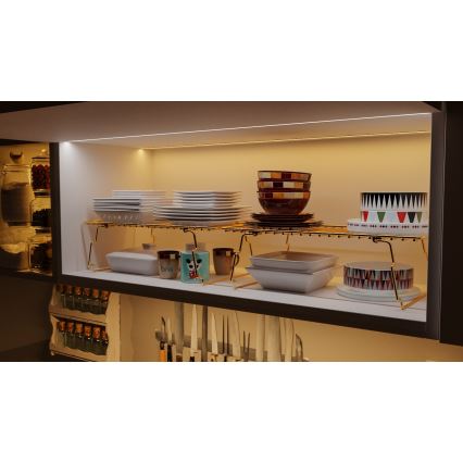 Organizador de prateleiras 42x19 cm dourado