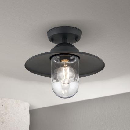 Candeeiro de tecto de superfície para exterior EDWARD 1xE27/60W/230V IP44 antracite