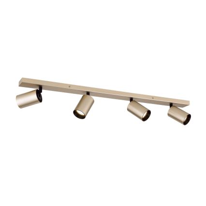 Candeeiro de focos SEAN 4xGU10/13W/230V dourado