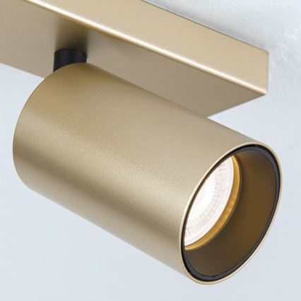 Candeeiro de focos SEAN 4xGU10/13W/230V dourado