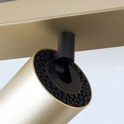 Candeeiro de focos SEAN 4xGU10/13W/230V dourado