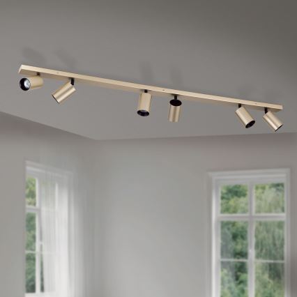 Candeeiro de focos SEAN 6xGU10/13W/230V dourado
