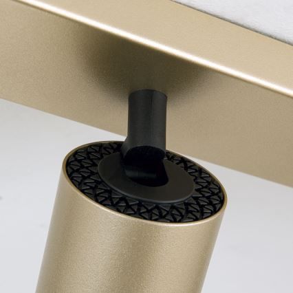 Candeeiro de focos SEAN 6xGU10/13W/230V dourado
