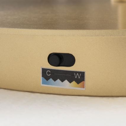 Candeeiro de pé LED regulável KOLK LED/40W/230V 2700/4000K dourado