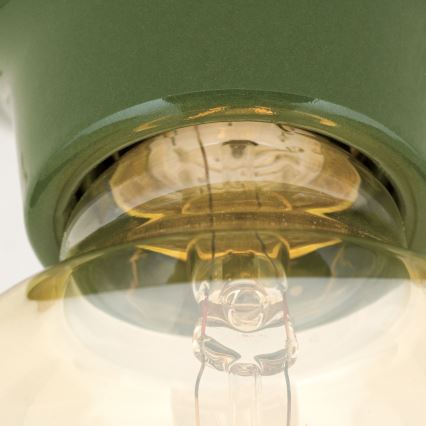 Candeeiro de teto FROST 1xE27/60W/230V verde