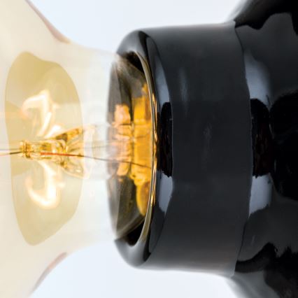 Candeeiro de tecto FROST 1xE27/60W/230V preto