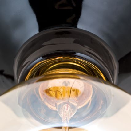 Candeeiro de tecto FROST 1xE27/60W/230V preto