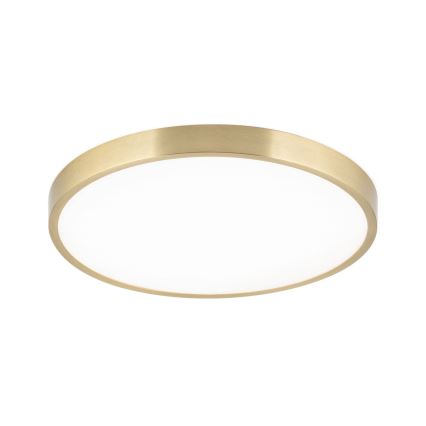 Iluminação de teto LED BULLY LED/28W/230V diâmetro 28 cm dourado