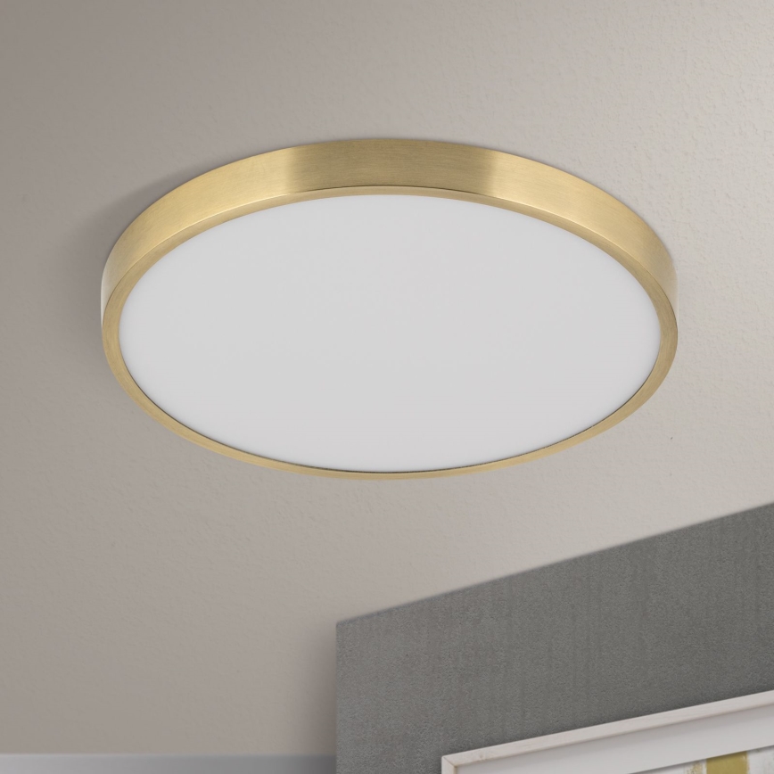 Iluminação de teto LED BULLY LED/28W/230V diâmetro 28 cm dourado