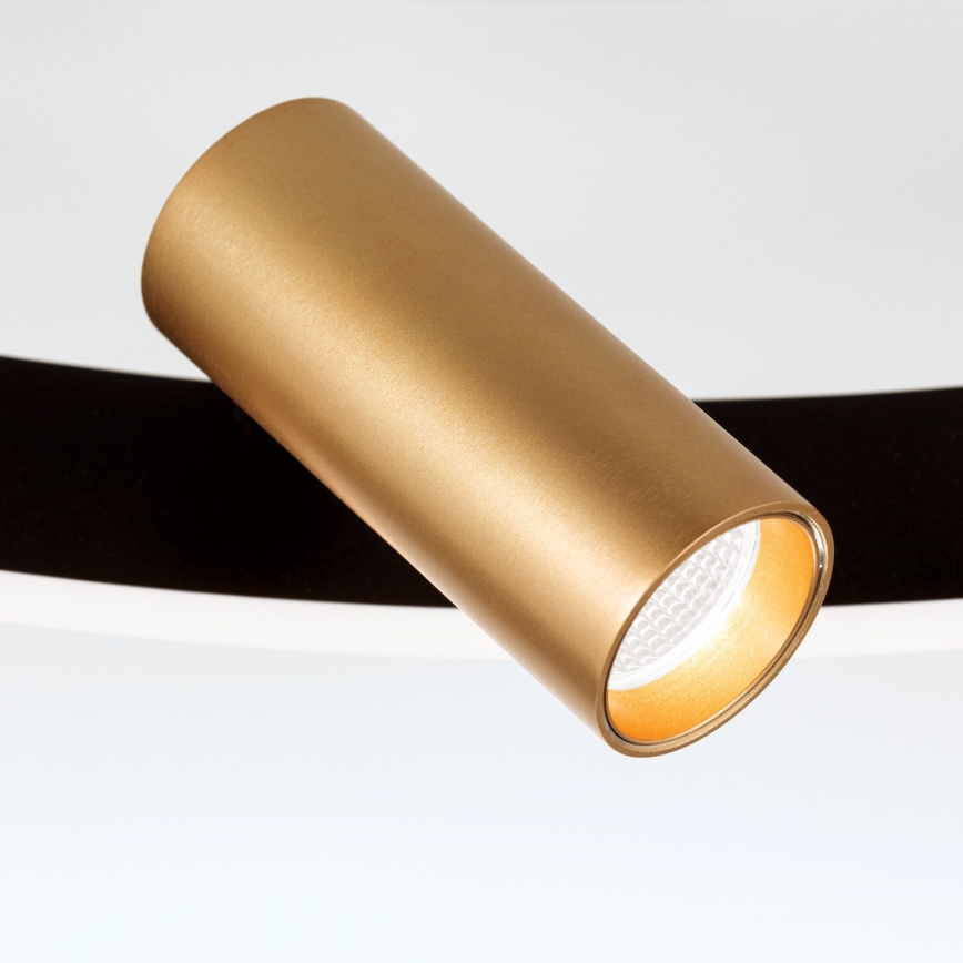 Candeeiro de teto LED dimerizável BERLIN LED/50W/230V preto/dourado