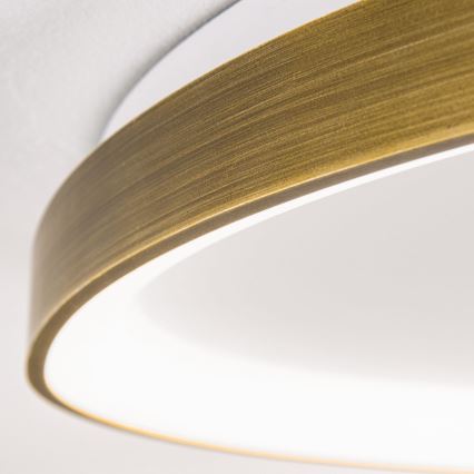 Iluminação de teto LED CHARLIE LED/48W/230V diâmetro 65 cm dourado