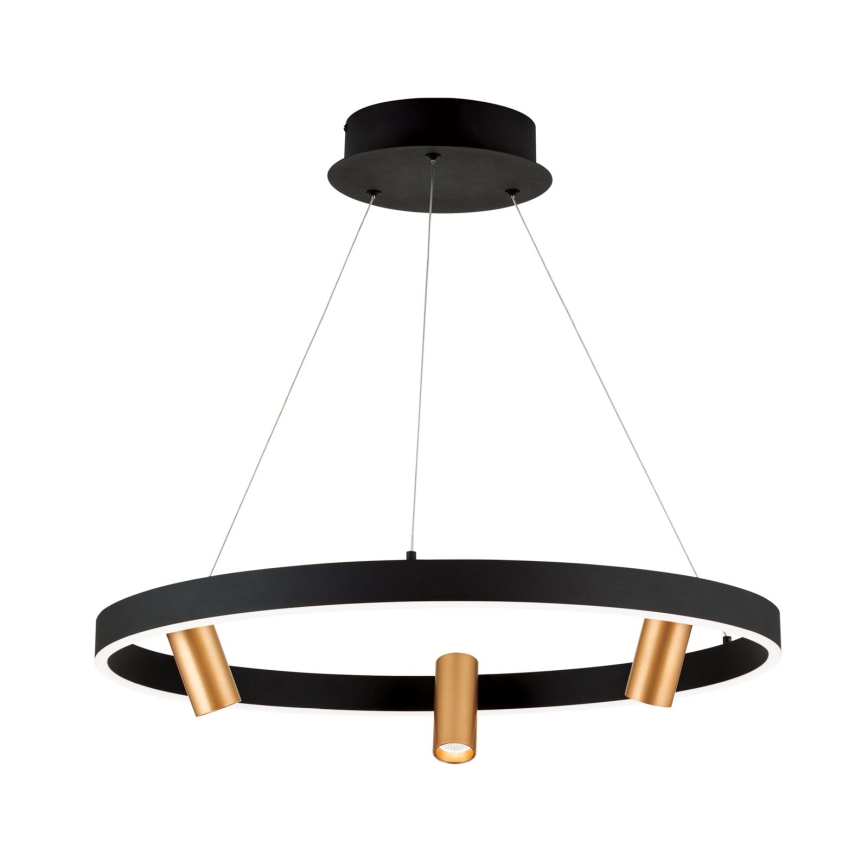 Lustre LED dimmerizável em cabo BERLIN LED/50W/230V preto/dourado