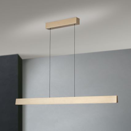 Lustre LED regulável em cabo TARA LED/44W/230V 2700/3800/4500/5700K dourado