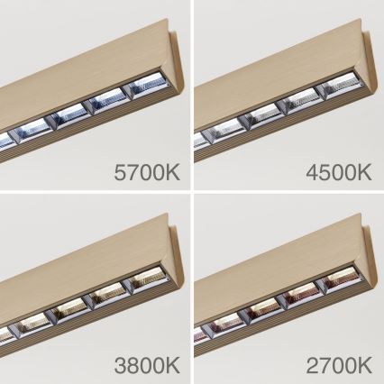 Lustre LED regulável em cabo TARA LED/44W/230V 2700/3800/4500/5700K dourado