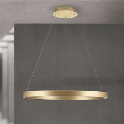 Lustre LED regulável suspenso em cabo KOLK LED/80W/230V 2700/3000/4000K Ø 80 cm dourado