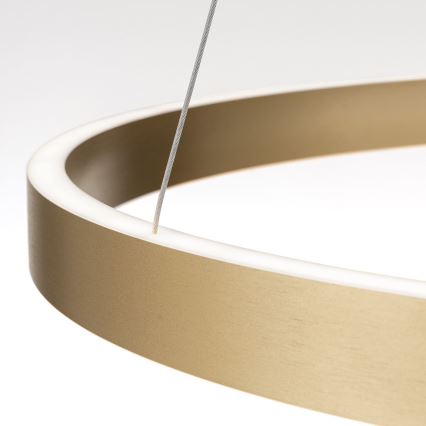 Lustre LED regulável suspenso em cabo KOLK LED/80W/230V 2700/3000/4000K Ø 80 cm dourado