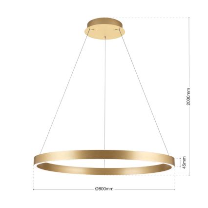 Lustre LED regulável suspenso em cabo KOLK LED/80W/230V 2700/3000/4000K Ø 80 cm dourado