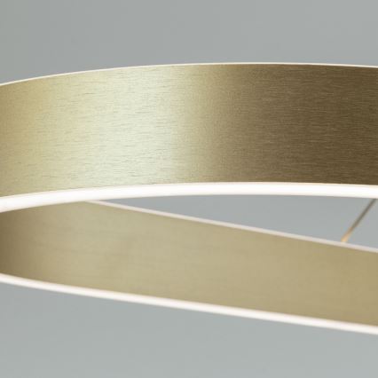 Lustre LED suspenso por cabo CARRARA LED/80W/230V 2700/3000/4000K dourado