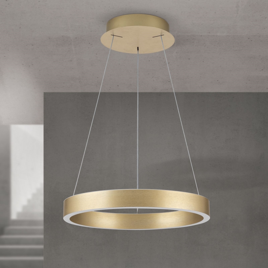 Lustre pendente dimerizável em cabo KOLK LED/40W/230V 2700/3000/4000K Ø 40 cm dourado