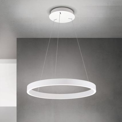 Lustre LED regulável em cabo KOLK LED/60W/230V 2700/3000/4000K Ø 60 cm branco