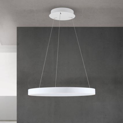 Lustre LED regulável em cabo KOLK LED/60W/230V 2700/3000/4000K Ø 60 cm branco