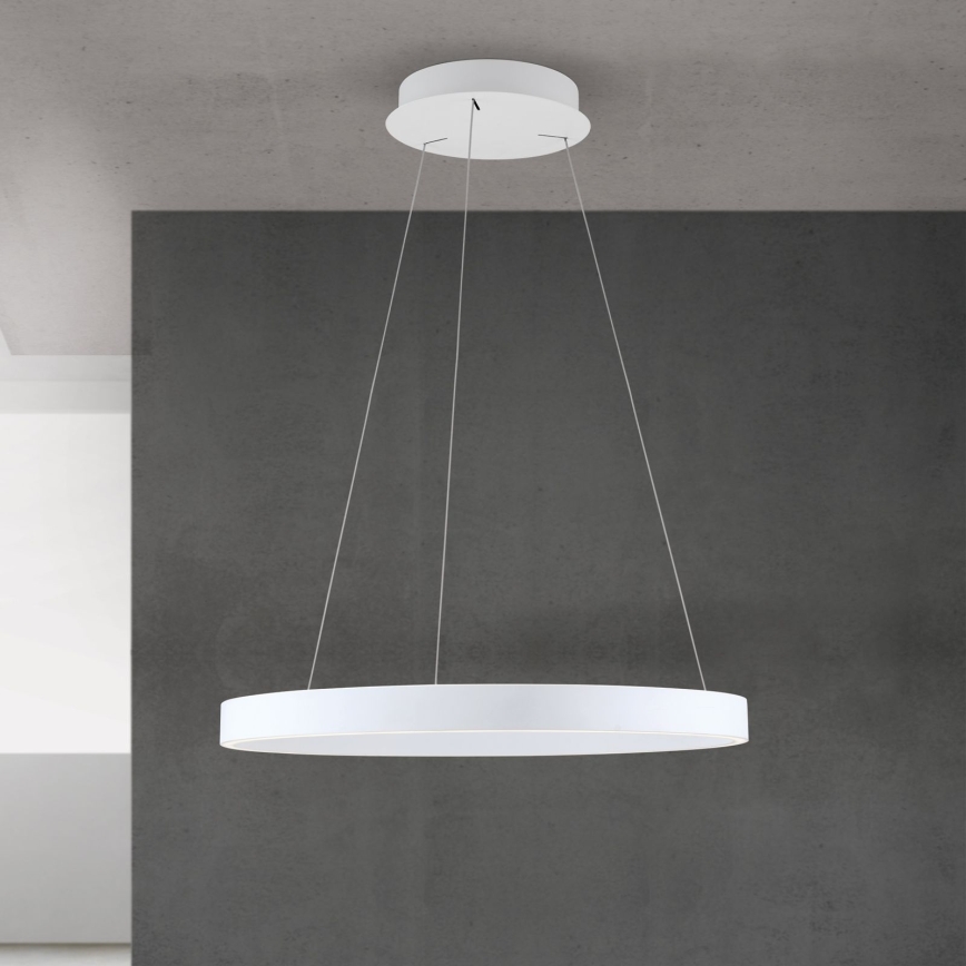 Lustre LED regulável em cabo KOLK LED/60W/230V 2700/3000/4000K Ø 60 cm branco