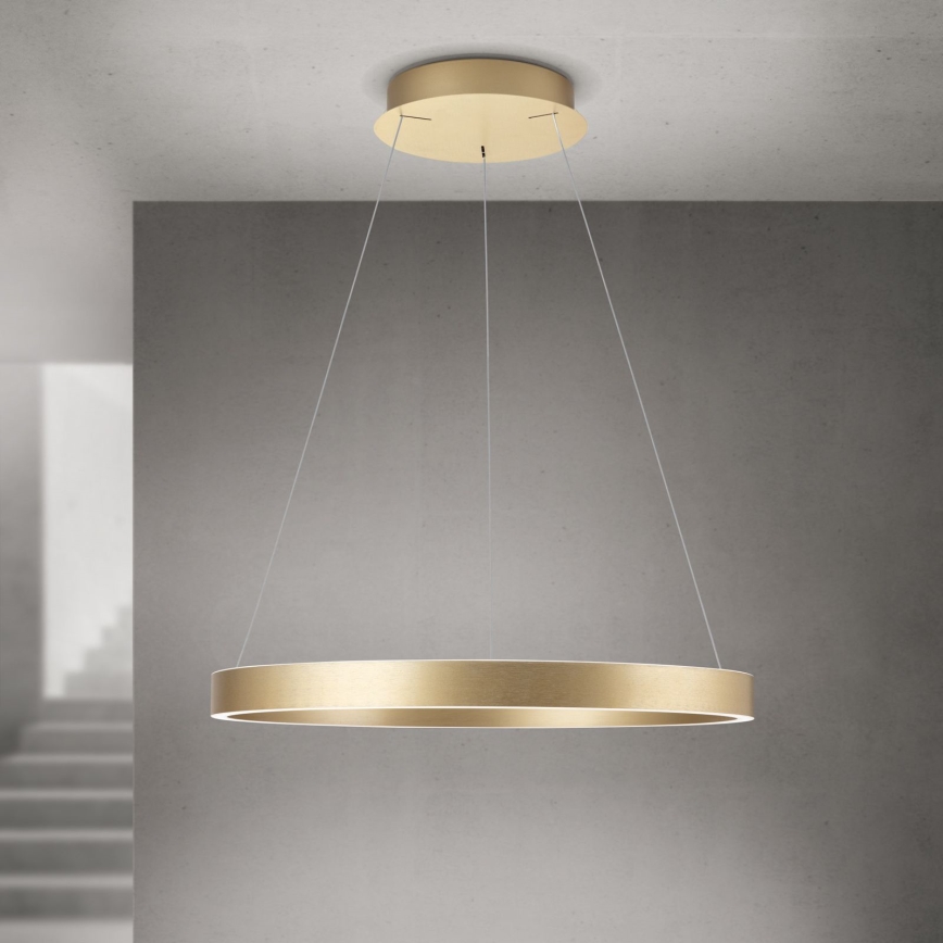 Lustre LED regulável em cabo KOLK LED/60W/230V 2700/3000/4000K Ø 60 cm dourado