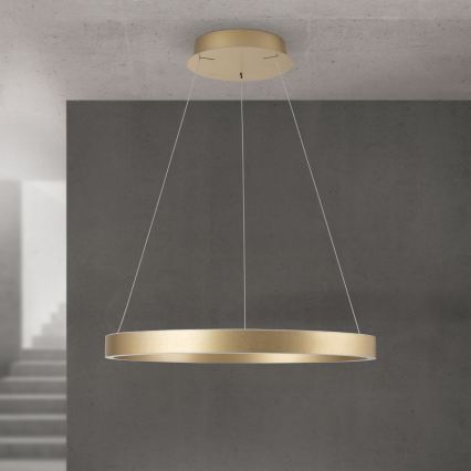 Lustre LED regulável em cabo KOLK LED/60W/230V 2700/3000/4000K Ø 60 cm dourado
