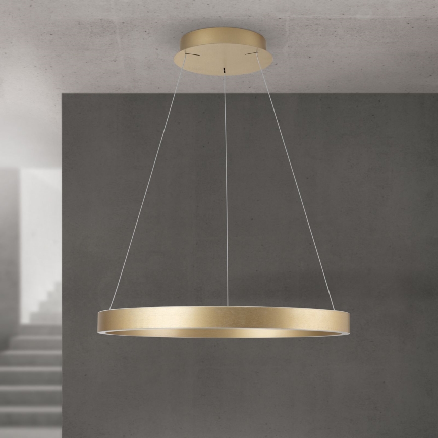 Lustre LED regulável em cabo KOLK LED/60W/230V 2700/3000/4000K Ø 60 cm dourado