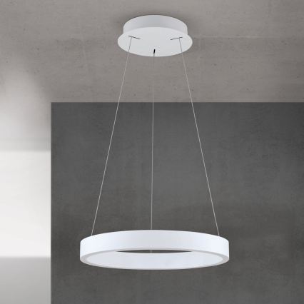 Lustre pendente LED dimerizável em cabo KOLK LED/40W/230V 2700/3000/4000K Ø 40 cm branco