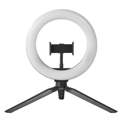 Osram - Lâmpada de secretária LED regulável com base e suporte para vlogging LED/5,5W/USB 3000-6500K 210 mAh