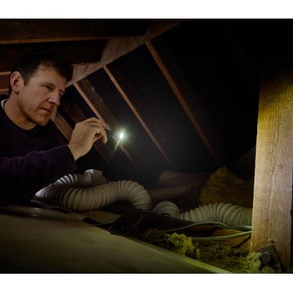 Osram - Lanterna de inspeção LED dimerizável LEDINSPECT TORCH 250 ESSENTIAL LED/2W/2xAAA IP44