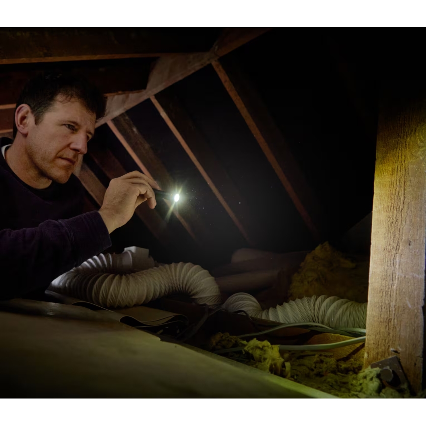 Osram - Lanterna de inspeção LED dimerizável LEDINSPECT TORCH 250 ESSENTIAL LED/2W/2xAAA IP44