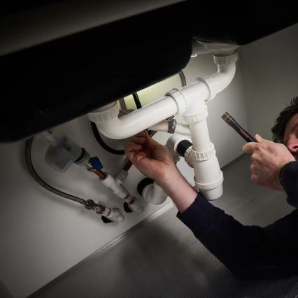 Osram - Lanterna de inspeção LED dimerizável LEDINSPECT TORCH 250 ESSENTIAL LED/2W/2xAAA IP44