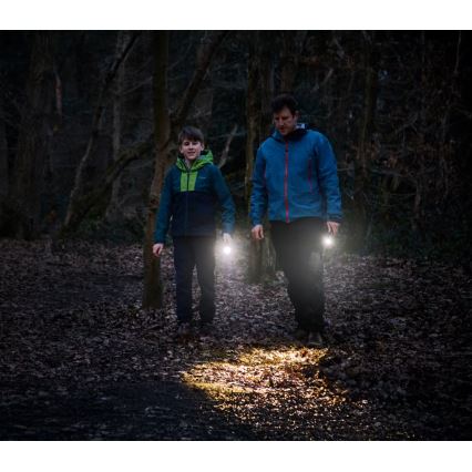 Osram - Lanterna de inspeção LED regulável LEDINSPECT TORCH 350 ESSENTIAL LED/4W/2xAAA IP44