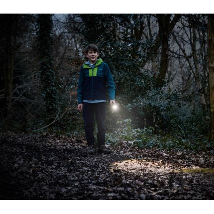 Osram - Lanterna de inspeção LED regulável LEDINSPECT TORCH 350 ESSENTIAL LED/4W/2xAAA IP44