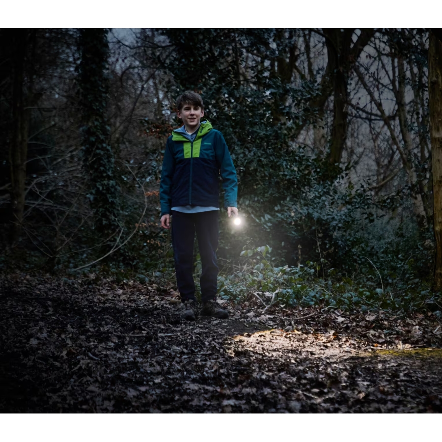 Osram - Lanterna de inspeção LED regulável LEDINSPECT TORCH 350 ESSENTIAL LED/4W/2xAAA IP44