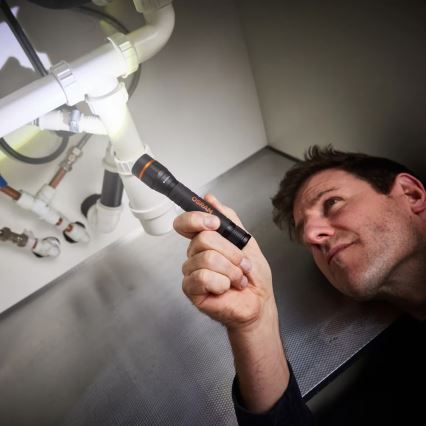 Osram - Lanterna de inspeção LED regulável LEDINSPECT TORCH 350 ESSENTIAL LED/4W/2xAAA IP44