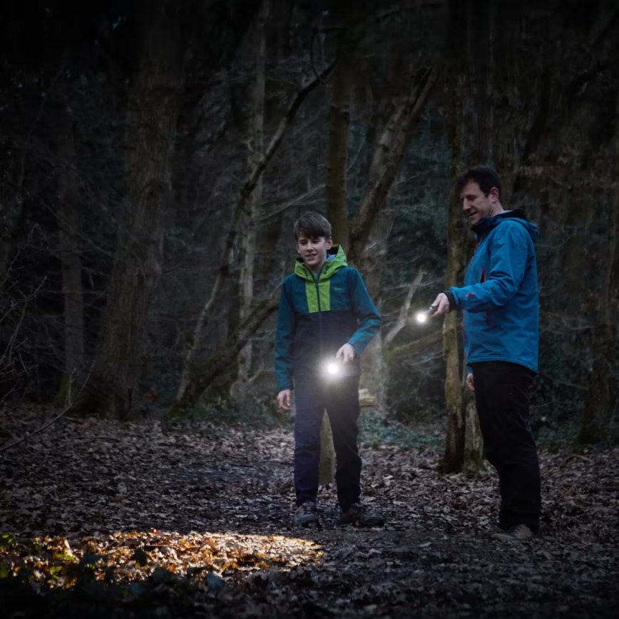 Osram - Lanterna LED regulável LEDINSPECT TORCH 450 ESSENTIAL LED/6W/3xAAA IP44