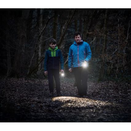 Osram - Lanterna LED regulável LEDINSPECT TORCH 450 ESSENTIAL LED/6W/3xAAA IP44