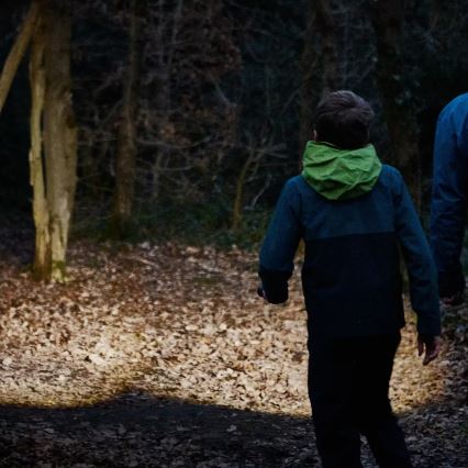 Osram - Lanterna LED regulável LEDINSPECT TORCH 450 ESSENTIAL LED/6W/3xAAA IP44