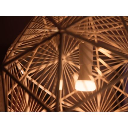 Pacote de iniciação Philips Hue WHITE AMBIANCE 2xE27/8W/230V + dispositivo de interligação