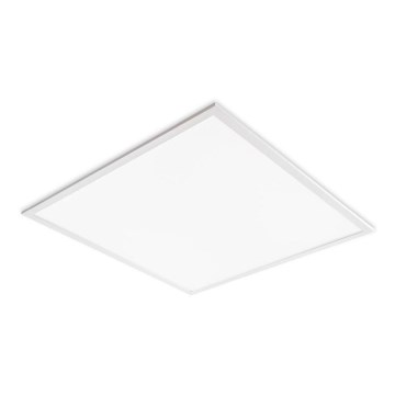 Painel LED para teto embutido DAVRO LED/40W/230V 4000K 59,5x59,5 cm branco