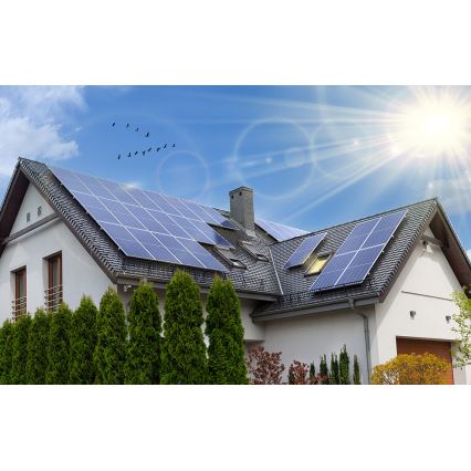 Painel solar fotovoltaico RISEN 450Wp IP68 - palete com 31 unidades