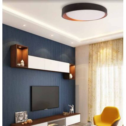 Iluminação de teto LED ADEL LED/40W/230V ø 50 cm preta